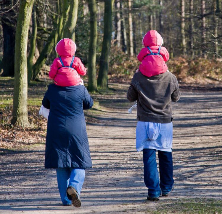 Wandelen in het bos - SamenOverScheiden